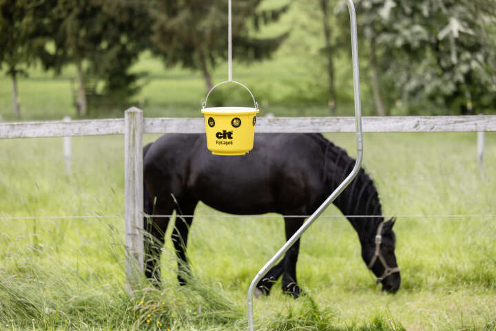 cit Fliegenfalle FlyCage inklusive Lockstoff